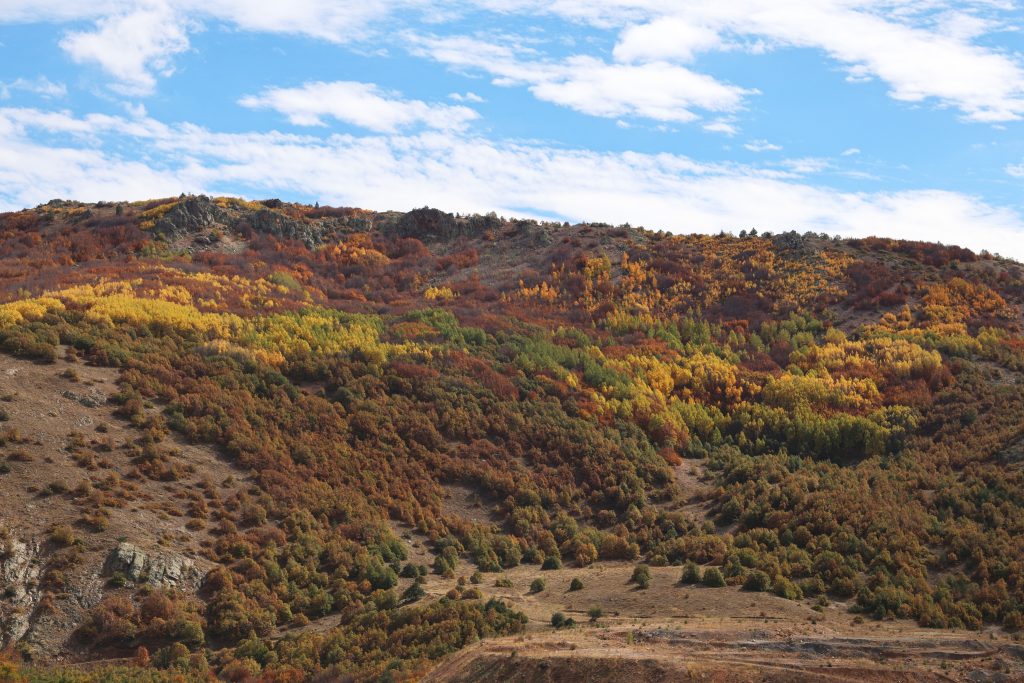 Geminbeli Geçidi'nde Sonbaharın Büyüleyici Renk Cümbüşü Drone ile Görüntülendi AW559139 07 | Gündem Sivas™ Haber