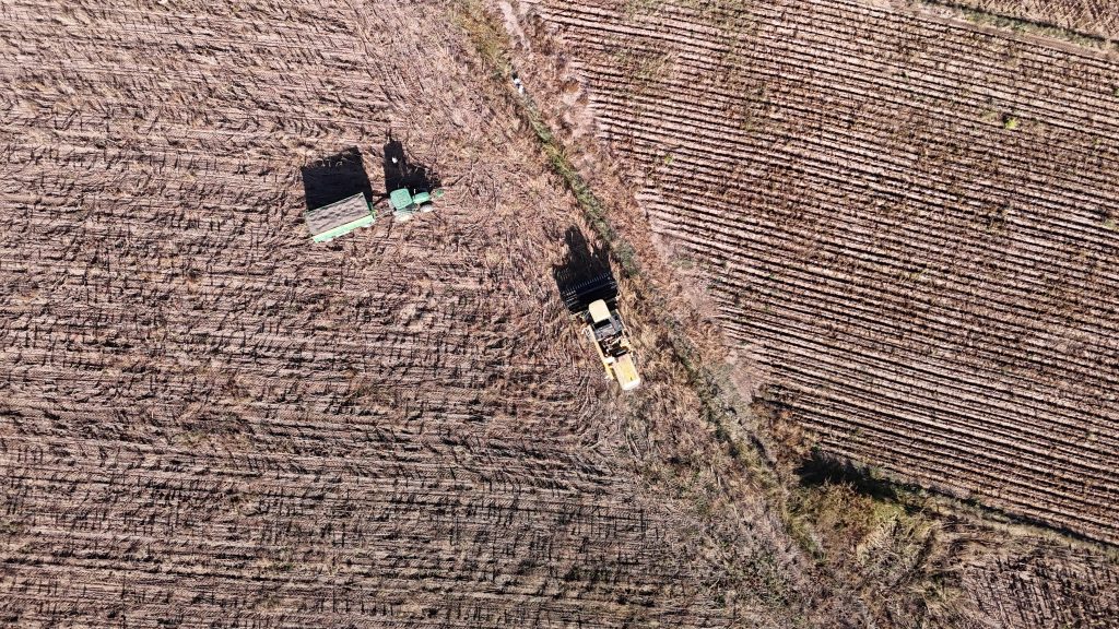 Sivas'ta Ayçiçeği Hasadı Başladı: Çiftçinin Yüzü Yüksek Verimle Güldü AW560556 07 | Gündem Sivas™ Haber