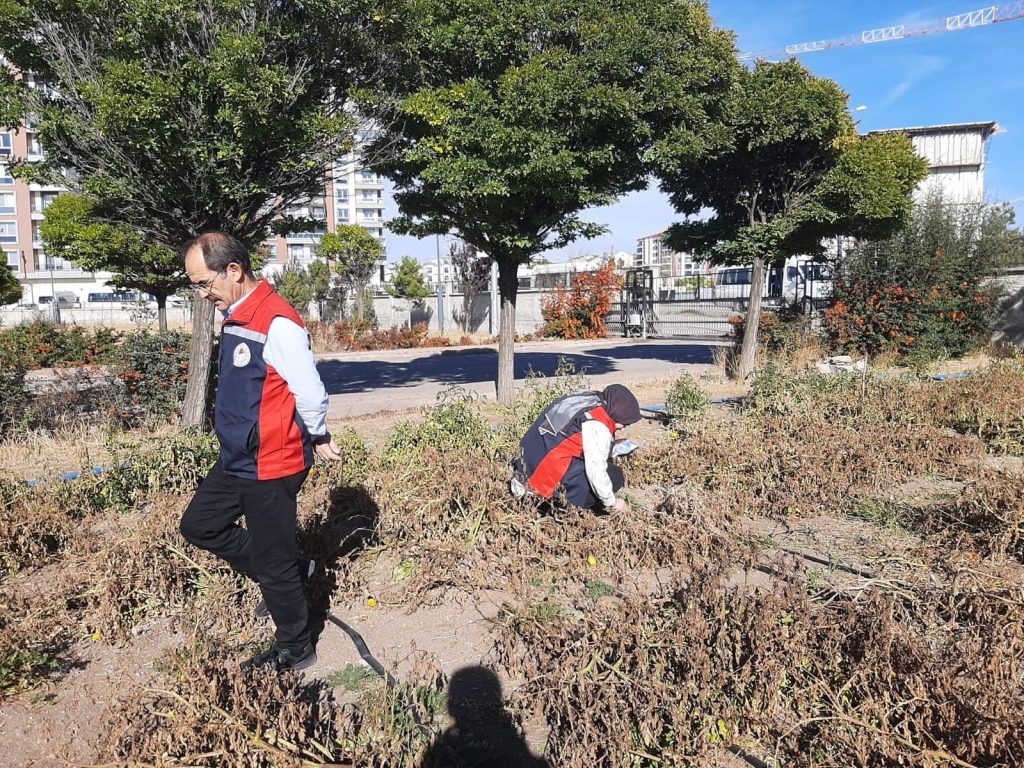 Kahverengi Kokarca Sivas'ta Görüldü: İl Tarım ve Orman Müdürlüğü Harekete Geçti AW563521 01 | Gündem Sivas™ Haber