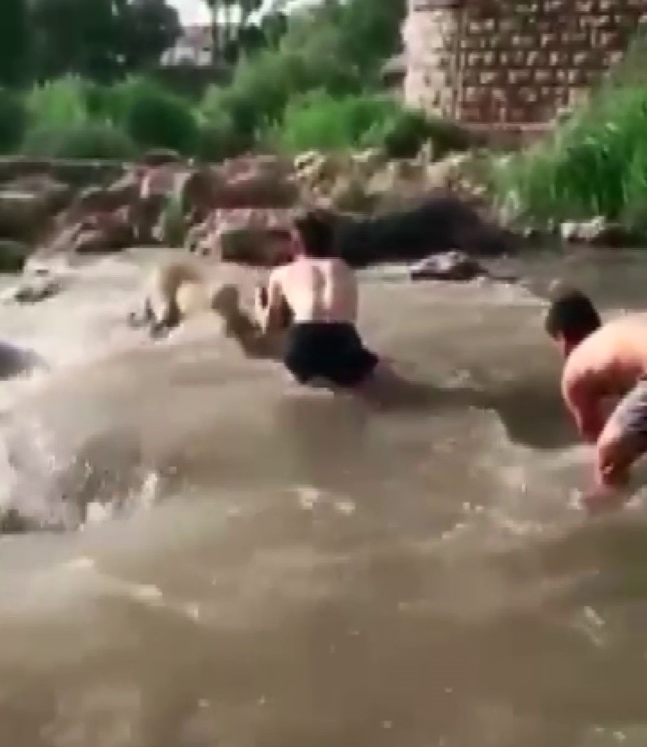 Sivas'ta Irmakta Mahsur Kalan Anne Köpek, Yiğitler Tarafından Kurtarılarak Yavrularına Kavuştu