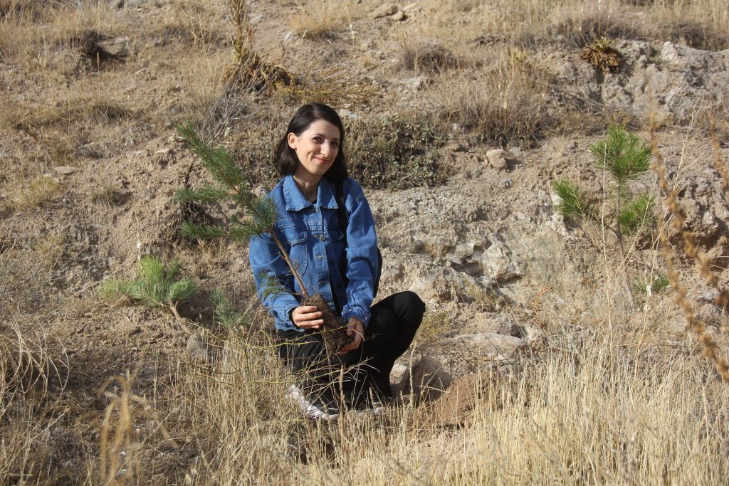 Üniversite Öğrencilerinden Zara'da Rekor Fidan Dikimi: Bir Haftada 30.000 Fidan Toprakla Buluştu AW567303 03 | Gündem Sivas™ Haber