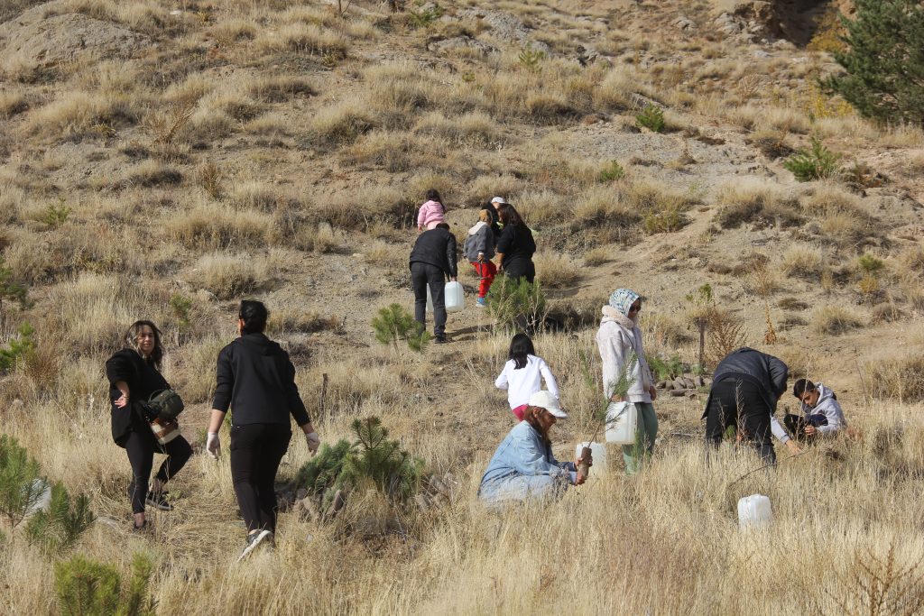 Üniversite Öğrencilerinden Zara'da Rekor Fidan Dikimi: Bir Haftada 30.000 Fidan Toprakla Buluştu AW567303 04 | Gündem Sivas™ Haber