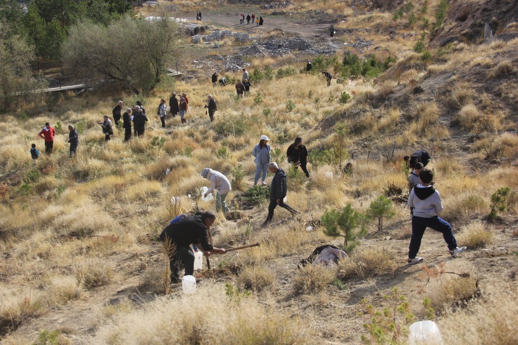 Üniversite Öğrencilerinden Zara'da Rekor Fidan Dikimi: Bir Haftada 30.000 Fidan Toprakla Buluştu AW567303 05 | Gündem Sivas™ Haber