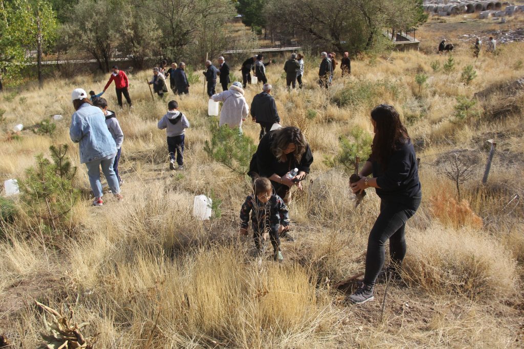 Üniversite Öğrencilerinden Zara'da Rekor Fidan Dikimi: Bir Haftada 30.000 Fidan Toprakla Buluştu AW567303 06 | Gündem Sivas™ Haber