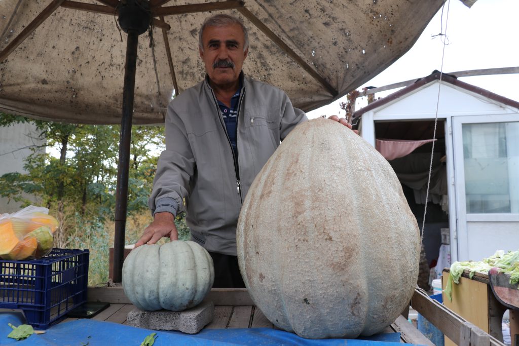Sivaslı Çiftçiden Rekor: Ata Tohumuyla Yetişen 51 Kilogramlık Dev Bal Kabağı İlgi Odağı Oldu AW568832 03 | Gündem Sivas™ Haber