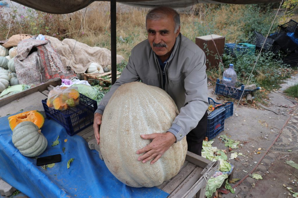 Sivaslı Çiftçiden Rekor: Ata Tohumuyla Yetişen 51 Kilogramlık Dev Bal Kabağı İlgi Odağı Oldu AW568832 05 | Gündem Sivas™ Haber