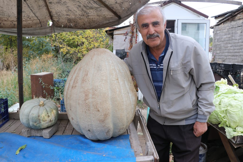 Sivaslı Çiftçiden Rekor: Ata Tohumuyla Yetişen 51 Kilogramlık Dev Bal Kabağı İlgi Odağı Oldu AW568832 06 | Gündem Sivas™ Haber