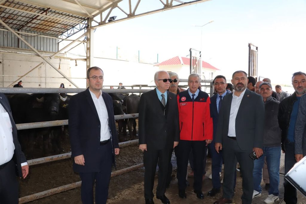 Sivas’ta Manda Yetiştiriciliğine 41 Boğa ile Büyük Destek
