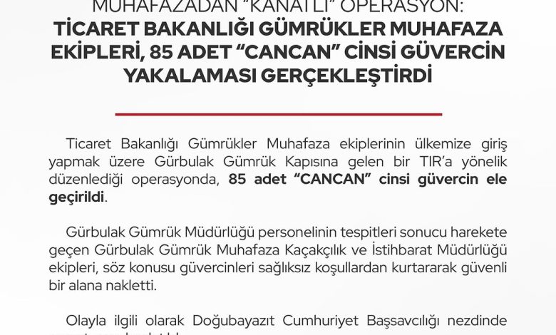 DP28Kg3jOed | Gündem Sivas™ Haber