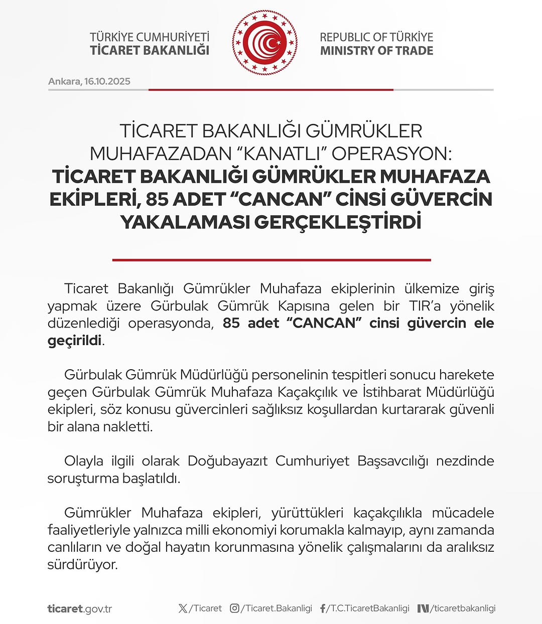 Ticaret Bakanlığı Gümrüklerinde 85 Cancan Güvercin Yakalandı / Kanatlı Operasyon