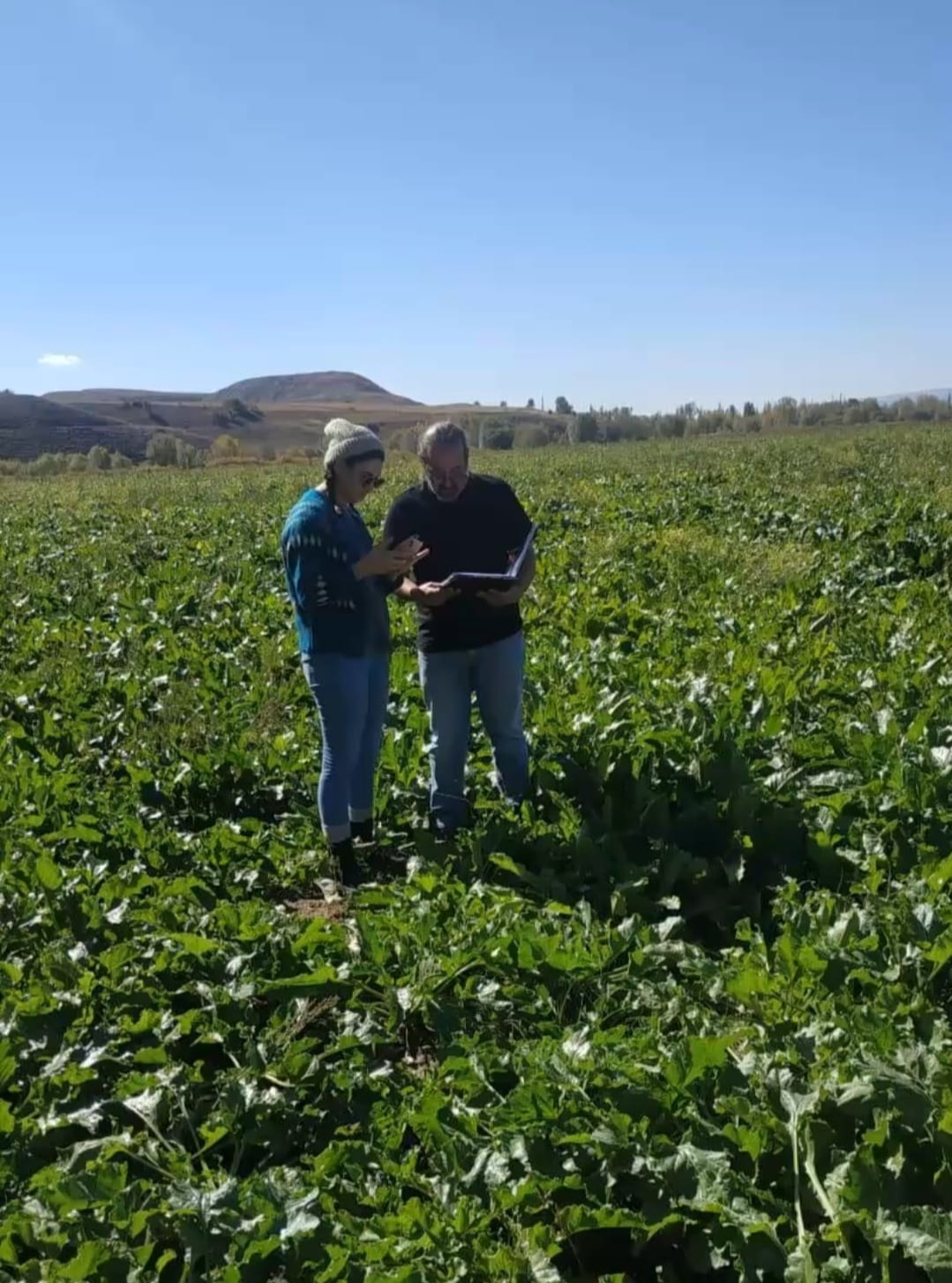 Sivas Yıldızeli'nde Tarım ve Orman Alanında Saha Çalışmaları Sürüyor