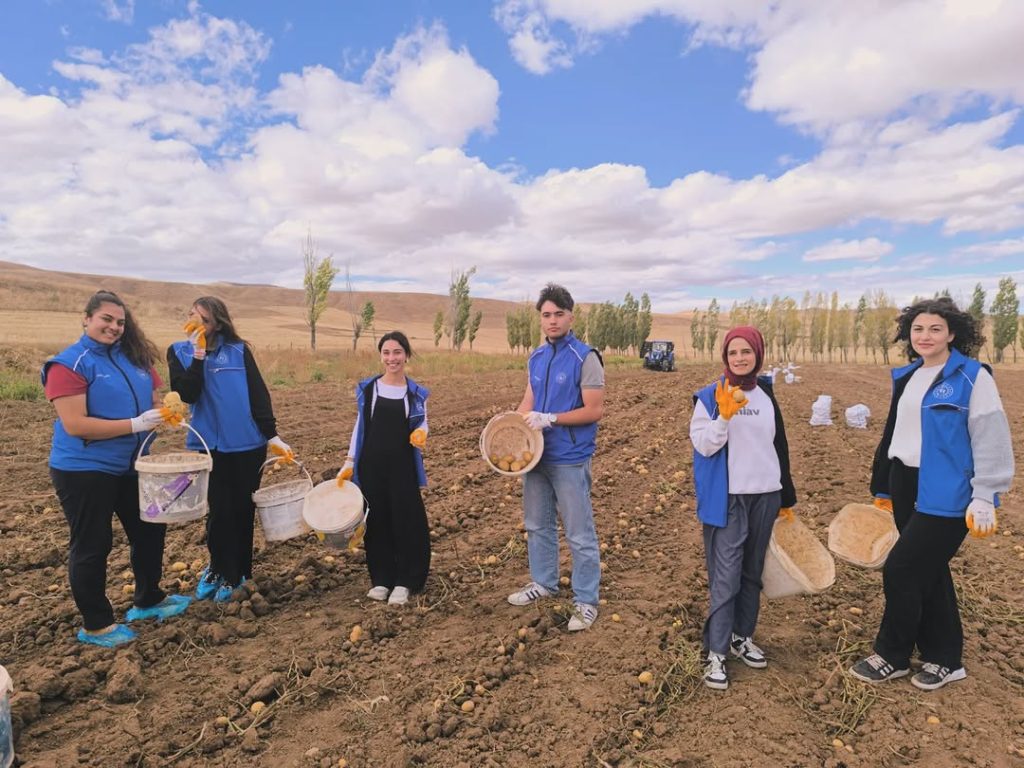 Sivas Gençlik Merkezi Üyeleri Çallı Köyü’nde Patates Hasadı Yaptı