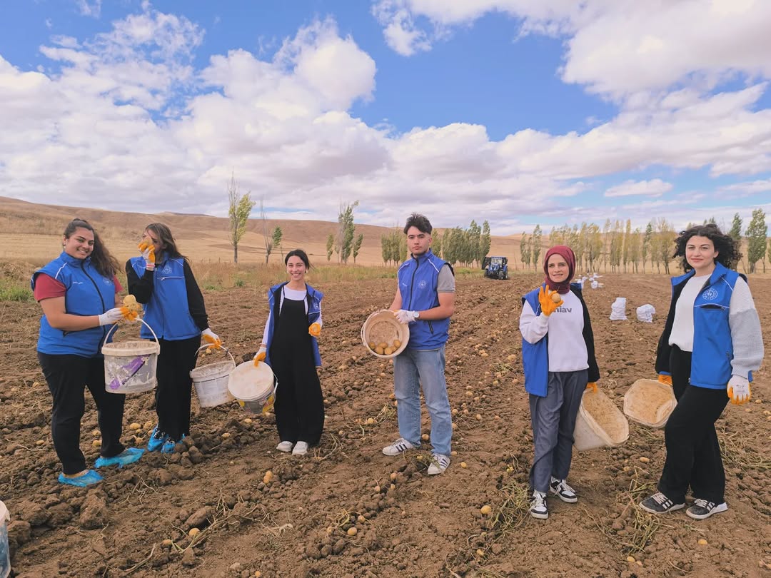 Sivas Gençlik Merkezi Üyeleri Çallı Köyü'nde Patates Hasadı Yaptı