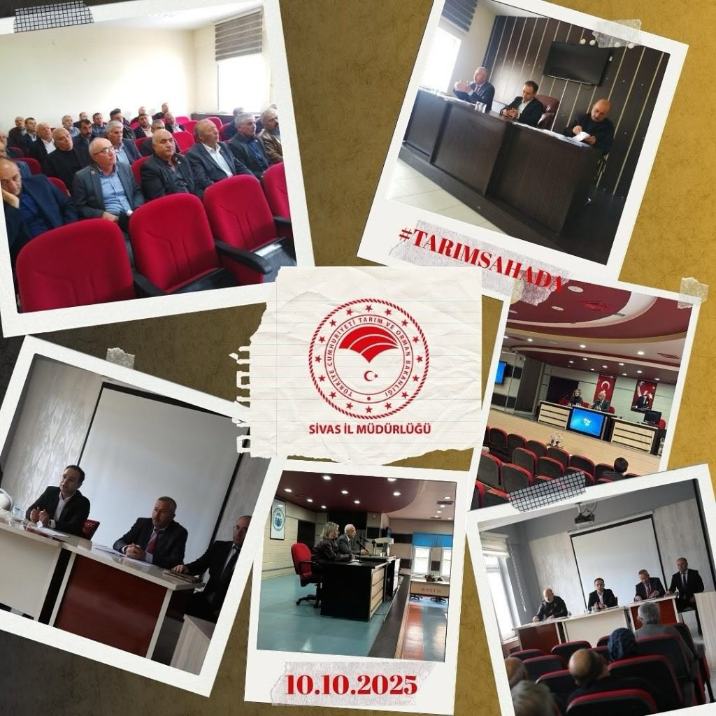 Sivas’ta Tükas Resen Kayıt Çalışmaları Kapsamında Muhtarlar Toplantısı Düzenlendi