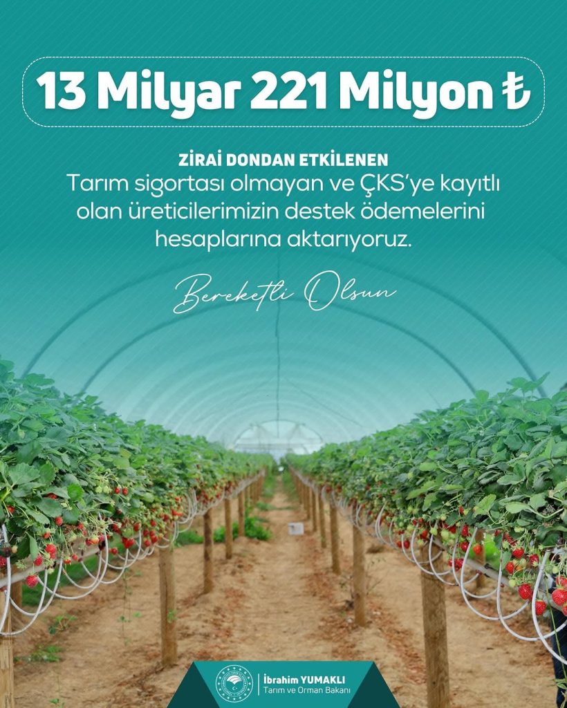 Sivas’ta Zirai Dondan Etkilenen Çiftçilere 13 Milyar TL’lik Destek