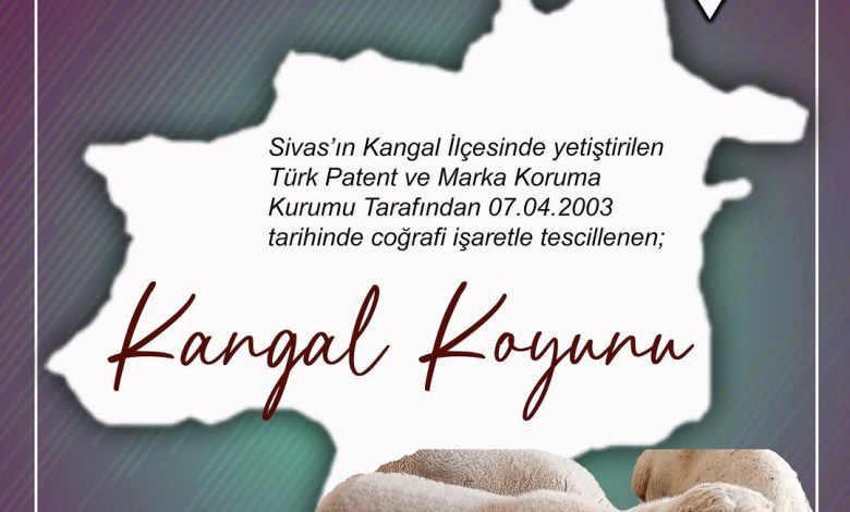 DQEU6ssiOIf | Gündem Sivas™ Haber