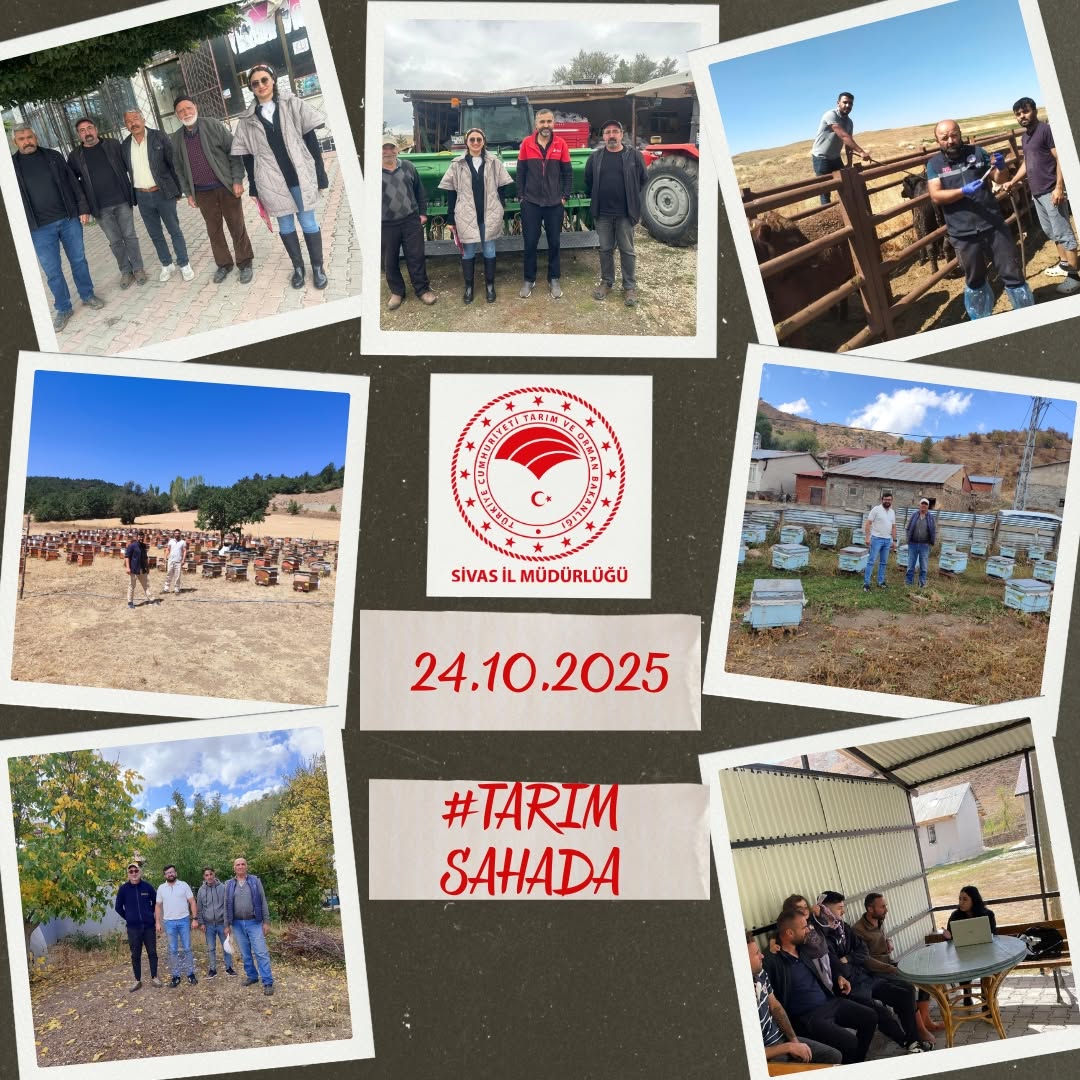 Sivas'ta Çiftçilerle Buluşmalar: 2025 Tarım Sayımı ve Yeni Destekler Anlatılıyor