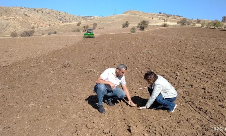 Sivas'ta Verimi Artırmak İçek Buğday ve Arpa Demonstrasyon Çalışmaları Başladı DQWK5T CDX4 | Gündem Sivas™ Haber