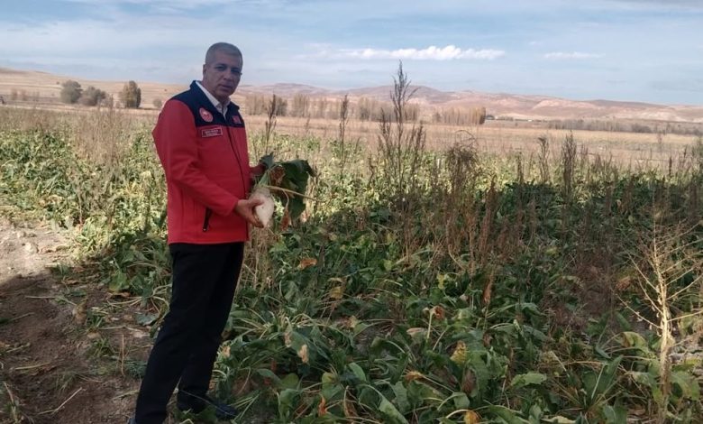 Sivas'ta Şeker Pancarı Hasadı Başladı: 1 Milyon Tonluk Rekor Beklentisi DQWPm6fCG32 | Gündem Sivas™ Haber