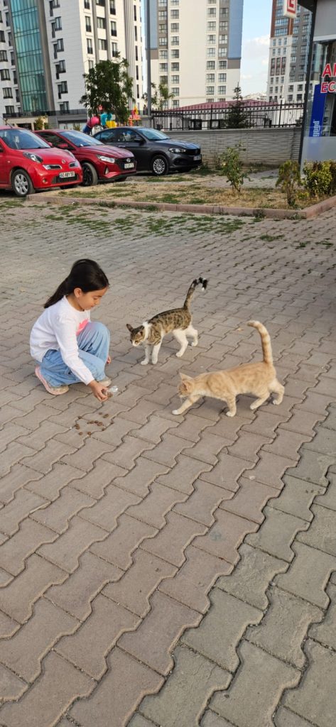 Minik Öğrencilerden 4 Ekim Hayvanları Koruma Günü’nde Anlamlı Davranış Minik Öğrencilerden 4 Ekim Hayvanları Koruma Günü’nde Anlamlı Davranış