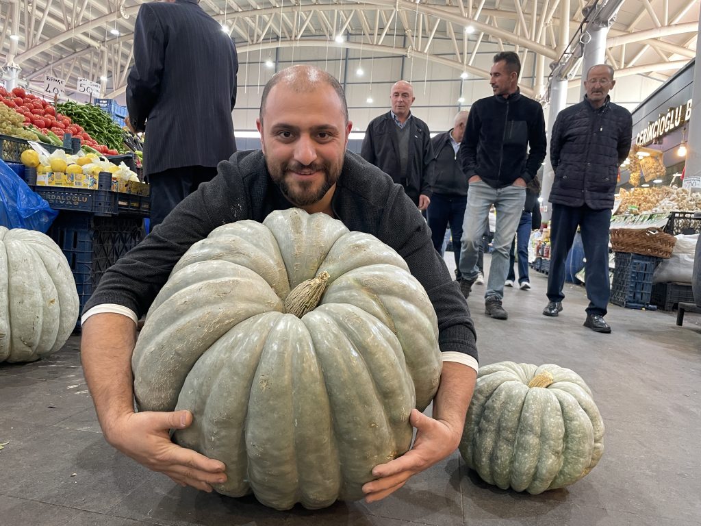 Sivas’tan Dev Bal Kabağı Haberi: 60 Kilogramlık Rekor Ürün Göz Kamaştırdı