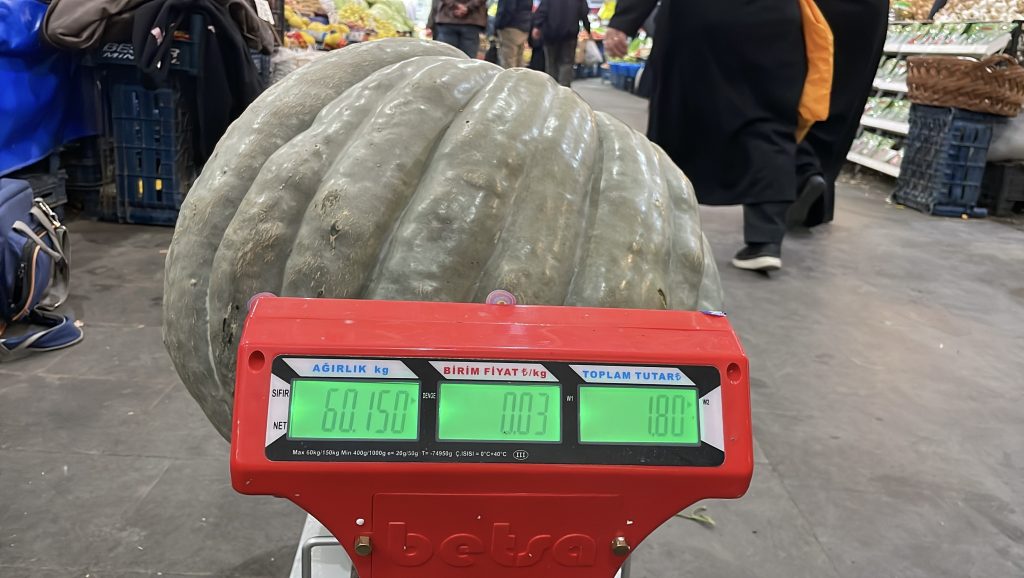 Sivas'tan Dev Bal Kabağı Haberi: 60 Kilogramlık Rekor Ürün Göz Kamaştırdı AW572544 05 | Gündem Sivas™ Haber