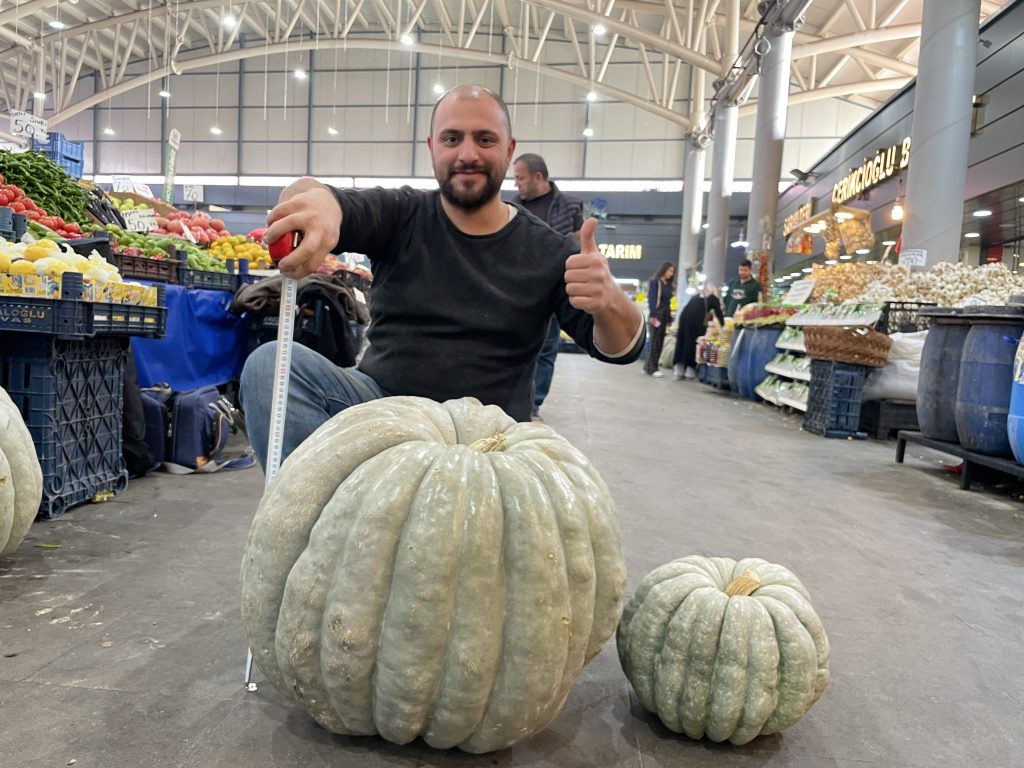 Sivas'tan Dev Bal Kabağı Haberi: 60 Kilogramlık Rekor Ürün Göz Kamaştırdı AW572544 06 | Gündem Sivas™ Haber