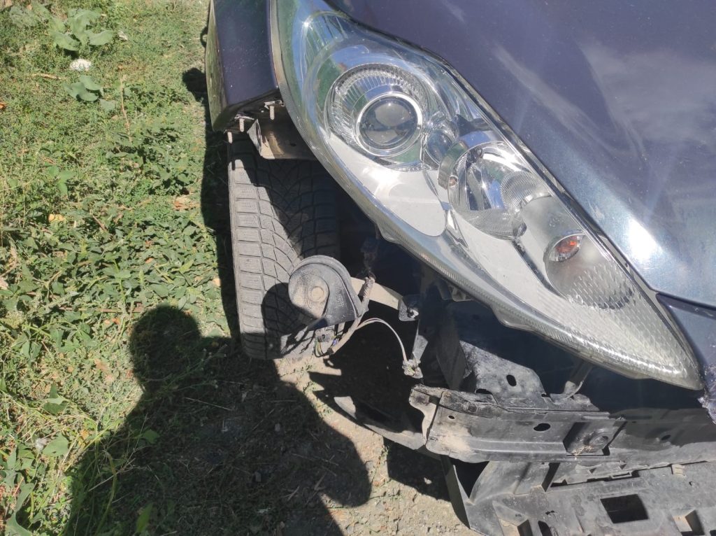 Divriği’de Başıboş Köpek Terörü: Park Halindeki Otomobile 108 Bin TL’lik Hasar!