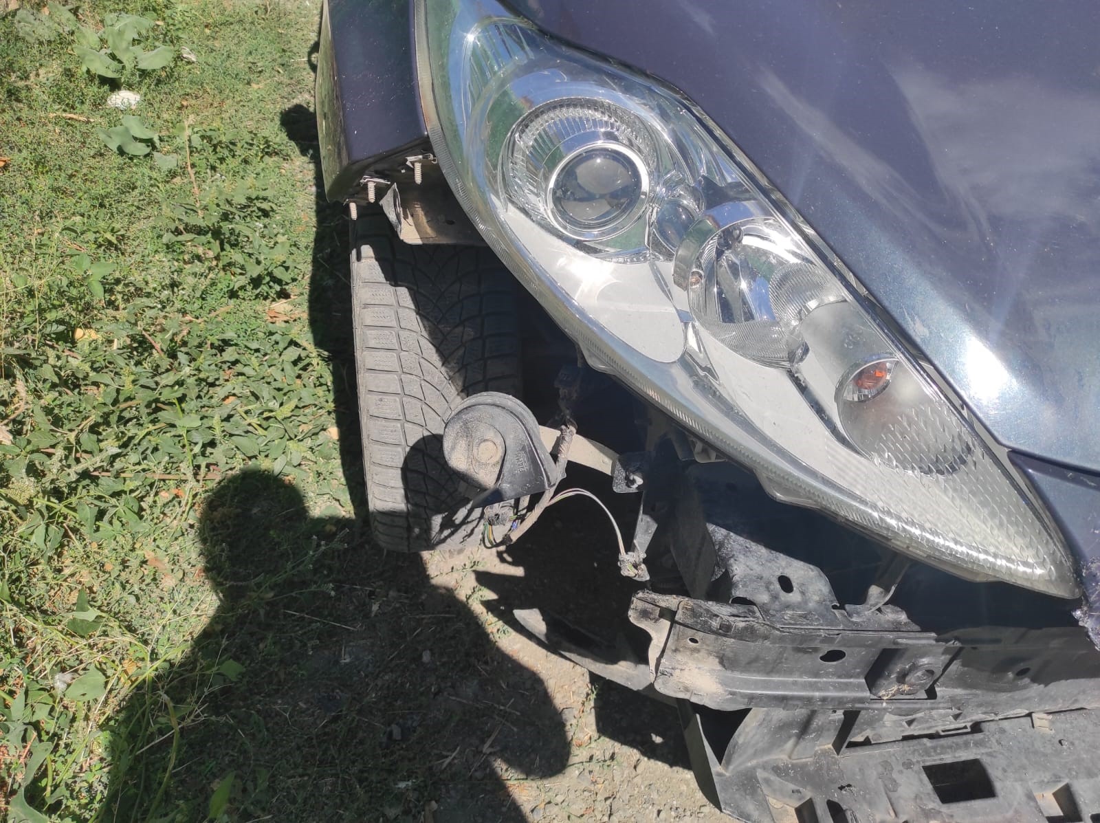 Divriği'de Başıboş Köpek Terörü: Park Halindeki Otomobile 108 Bin TL'lik Hasar!