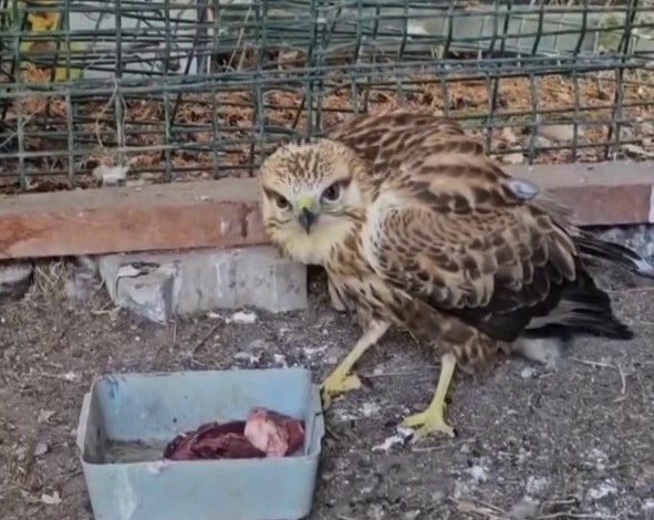 AW574333 02 | Gündem Sivas™ Haber