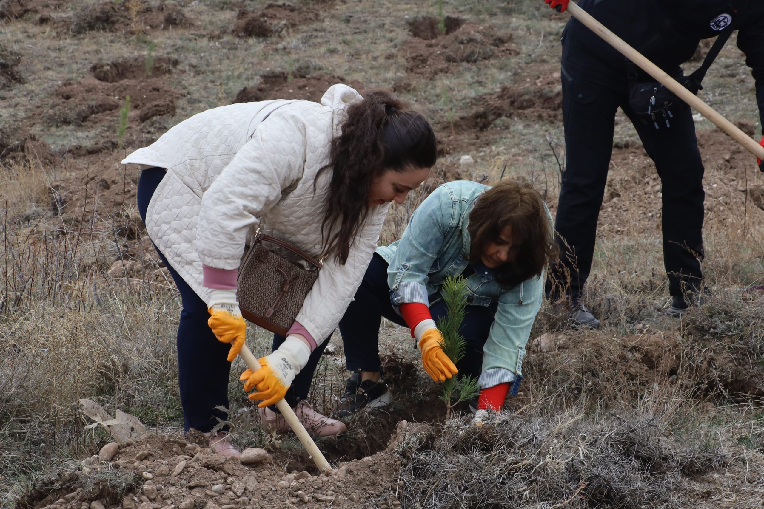 Sivas Belediyesi'nden Tek Günde 10 Yıllık Rekor: 58 Bin Fidan!