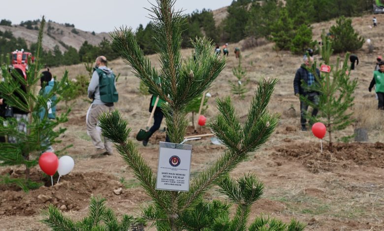 AW577435 06 | Gündem Sivas™ Haber