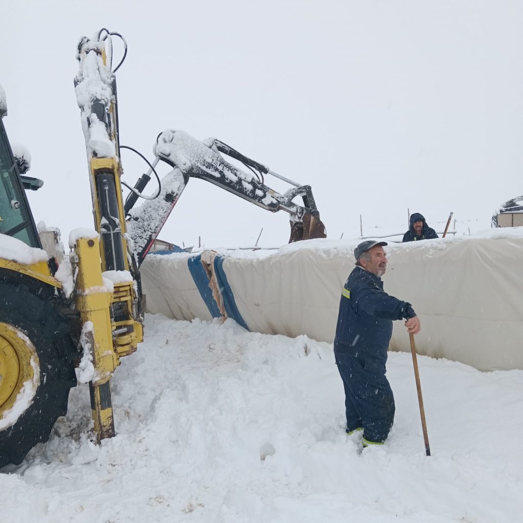 Sivas Kangal'da Yoğun Kar Yağışı Koyun Çadırını Çökertti: 8 Hayvan Telef Oldu Sivas Kangal’da Yoğun Kar Yağışı Koyun Çadırını Çökertti: 8 Hayvan Telef Oldu