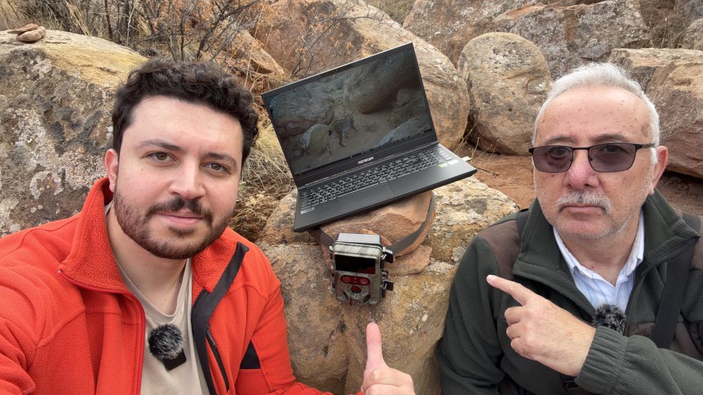 Sivas'ta Nadir Anlar: Anne Vaşak ve İki Yavrusunun Oyunları Fotokapanda! AW580714 02 | Gündem Sivas™ Haber