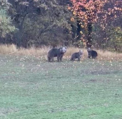 AW582288 06 | Gündem Sivas™ Haber