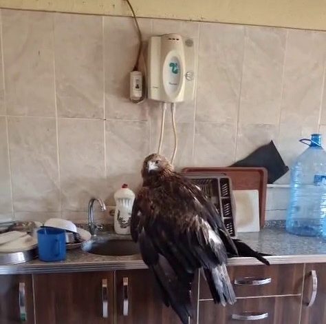 AW582935 01 | Gündem Sivas™ Haber