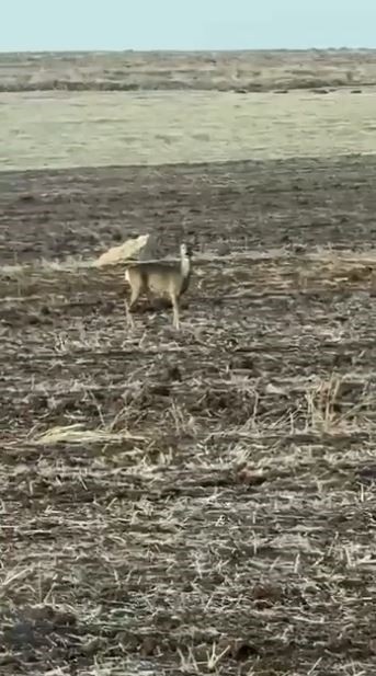 AW585486 01 | Gündem Sivas™ Haber