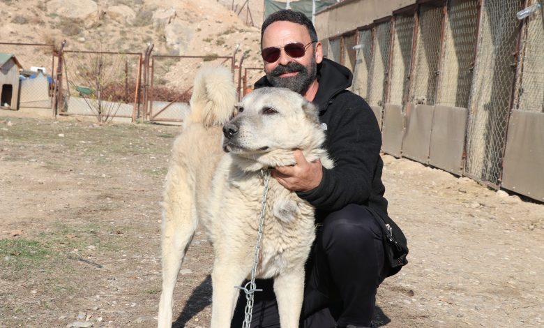 AW588718 01 | Gündem Sivas™ Haber