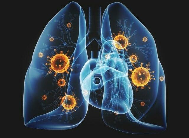 ec69ee9514d3879740e5a82e097c4452ae679d2b697ec0f0661d6f6654488f2d | Gündem Sivas™ Haber