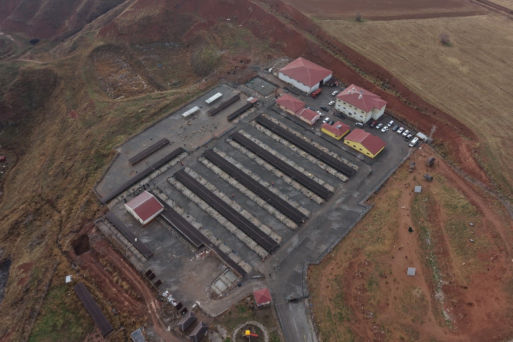 Sivas Hayvan Barınağı Dönüşüyor: Daha Doğal, Daha Güvenli! AW591352 01 | Gündem Sivas™ Haber