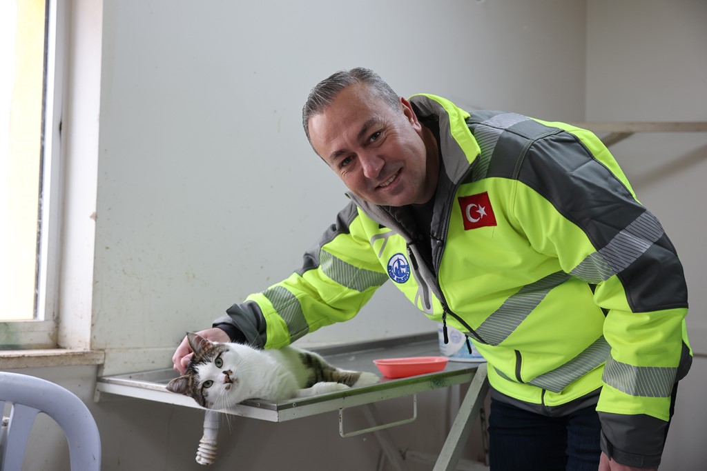 Sivas Hayvan Barınağı Dönüşüyor: Daha Doğal, Daha Güvenli! Sivas Hayvan Barınağı Dönüşüyor: Daha Doğal, Daha Güvenli!