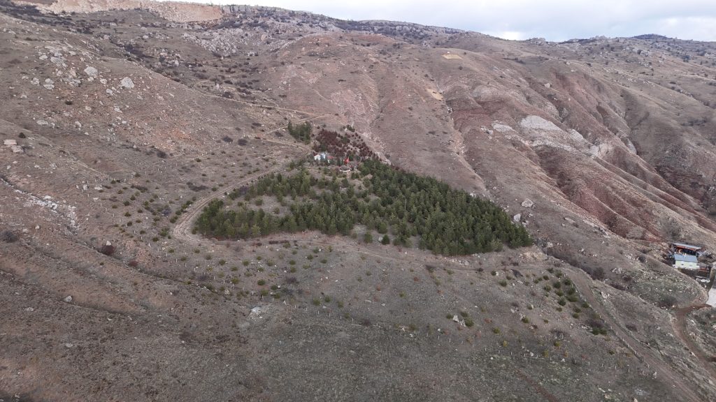 Sivas Çukurbelen Köyü'nde Bozkırı Yeşerten Dostluk: 20 Yılda 3 Bin Ağaçlık Bir Miras AW591706 03 | Gündem Sivas™ Haber