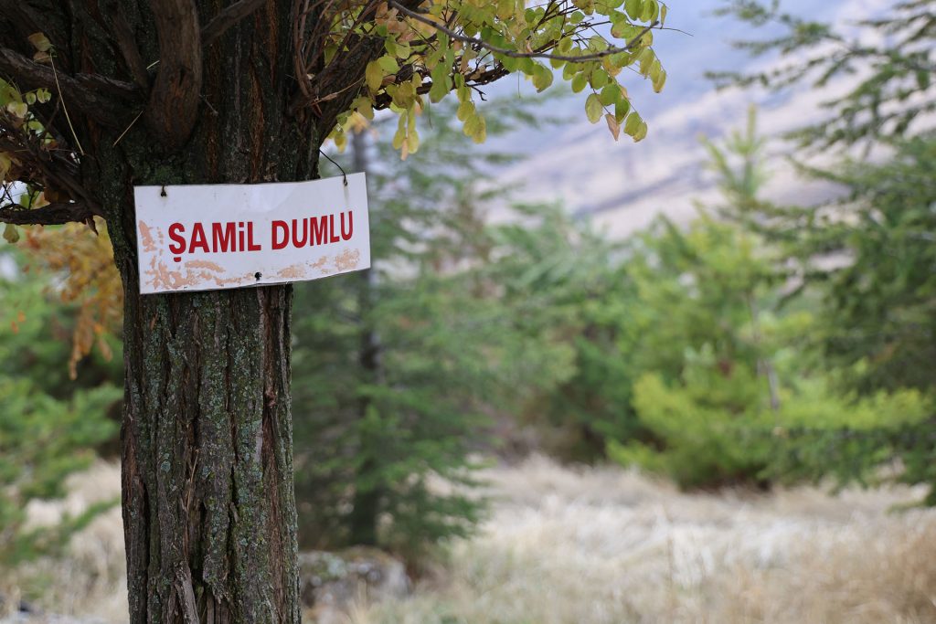 Sivas Çukurbelen Köyü'nde Bozkırı Yeşerten Dostluk: 20 Yılda 3 Bin Ağaçlık Bir Miras AW591706 07 | Gündem Sivas™ Haber