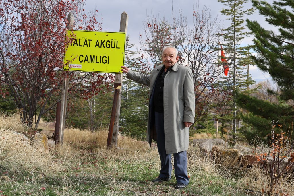 Sivas Çukurbelen Köyü'nde Bozkırı Yeşerten Dostluk: 20 Yılda 3 Bin Ağaçlık Bir Miras Sivas Çukurbelen Köyü’nde Bozkırı Yeşerten Dostluk: 20 Yılda 3 Bin Ağaçlık Bir Miras