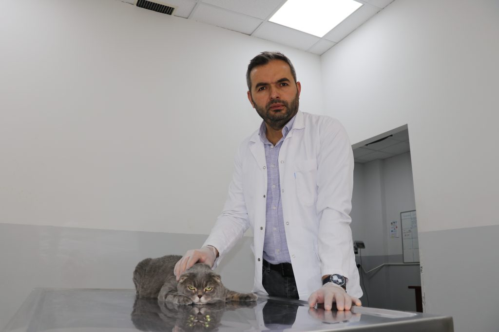 Kedi ve Köpek Kavgaları Azalıyor mu? Uzmanlar Cevapladı AW595105 01 | Gündem Sivas™ Haber