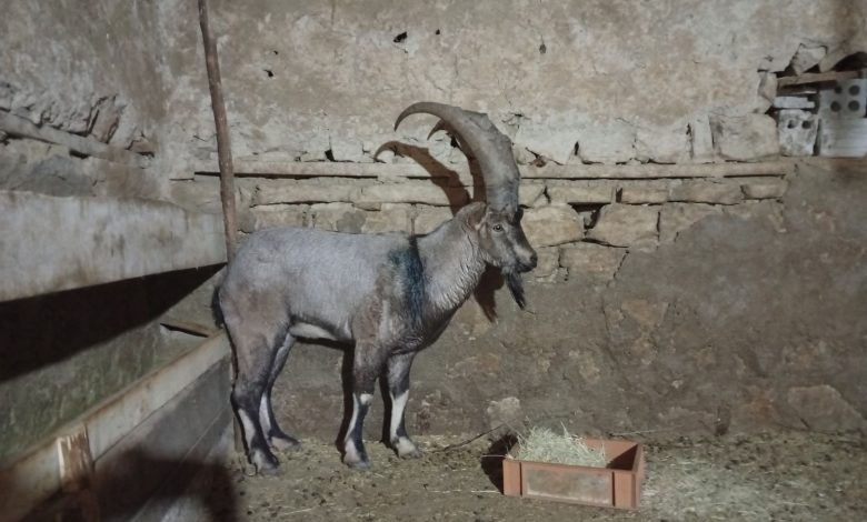 AW601199 04 | Gündem Sivas™ Haber