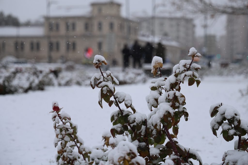 Sivas Beyaza Büründü: Tarihi Kent Meydanı'nda Görsel Şölen! AW607309 03 | Gündem Sivas™ Haber