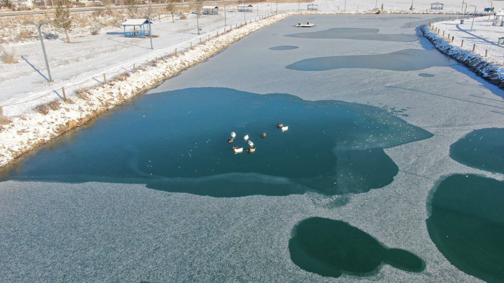 Sivas’ta Sibirya Soğukları Hayatı Dondurdu: Yapay Gölet Buz Tuttu, Ördekler Donmayan Kısımda Kaldı AW609581 02 | Gündem Sivas™ Haber