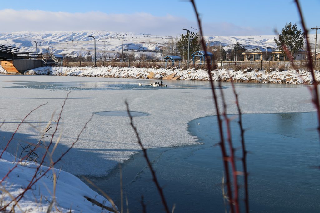 Sivas’ta Sibirya Soğukları Hayatı Dondurdu: Yapay Gölet Buz Tuttu, Ördekler Donmayan Kısımda Kaldı AW609581 06 | Gündem Sivas™ Haber