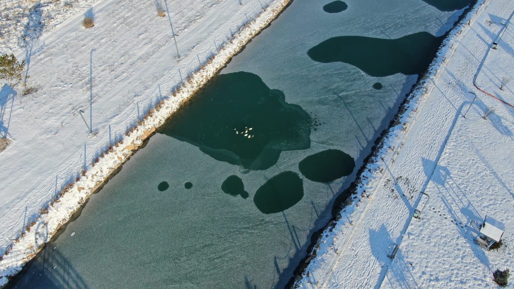 Sivas’ta Sibirya Soğukları Hayatı Dondurdu: Yapay Gölet Buz Tuttu, Ördekler Donmayan Kısımda Kaldı AW609581 07 | Gündem Sivas™ Haber